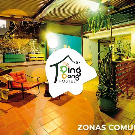 Ding-Dong Hostel กาลี ภายนอก รูปภาพ